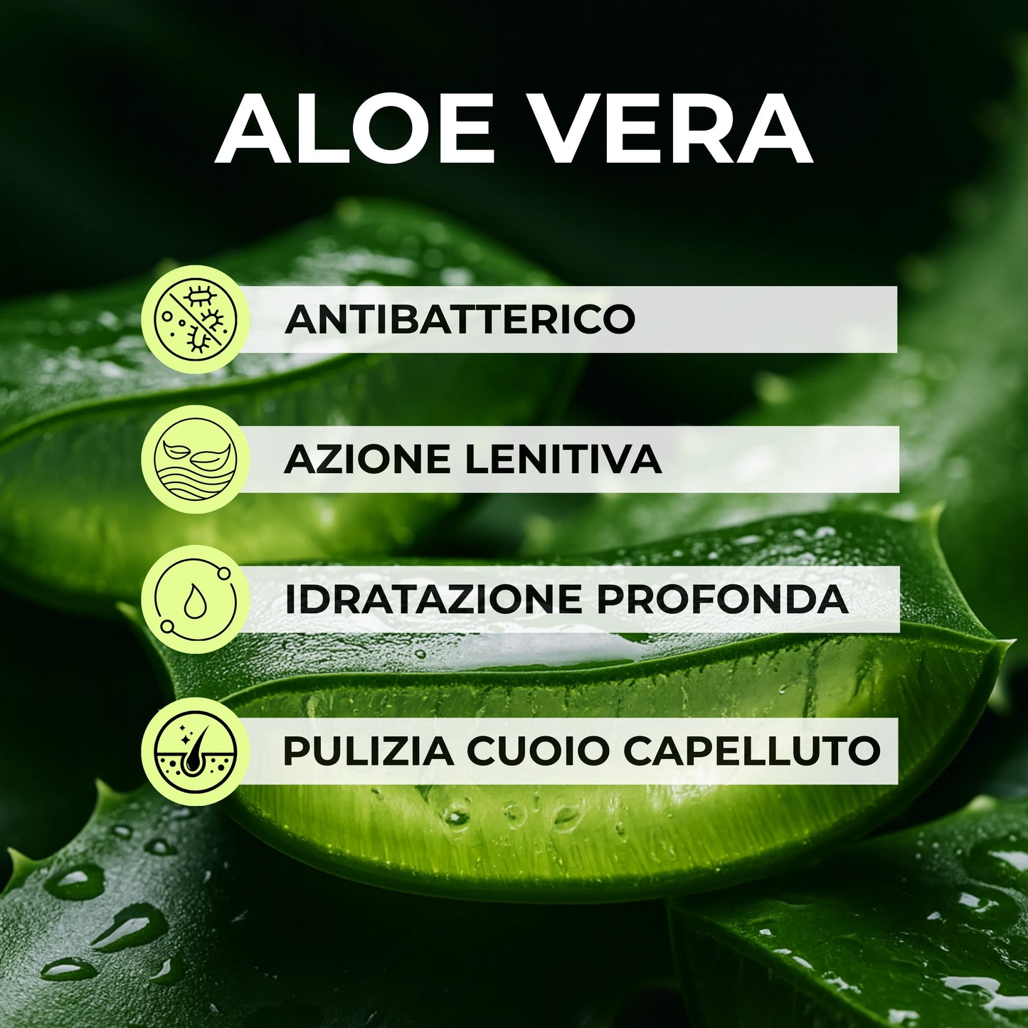 Pre Trattamento pH Fisiologico e Aloe Vera Delicata