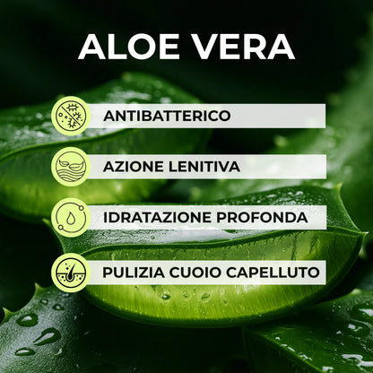 Pre Trattamento pH Fisiologico e Aloe Vera Delicata